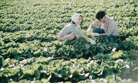 Người trẻ về quê và hành trình ngược dòng khởi nghiệp nông thôn