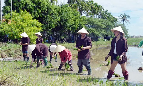 Du lịch nông nghiệp, nông thôn: Mô hình tiềm năng cho phát triển kinh tế nông thôn Việt Nam