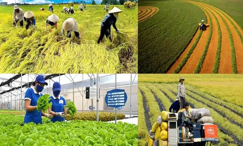 Mở khóa thị trường bảo hiểm và tín dụng nông nghiệp: Các thách thức còn tồn tại và tận dụng cơ hội từ dự án ACRF-VN