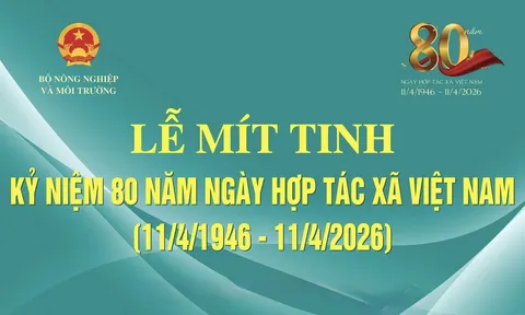CHƯƠNG TRÌNH KỶ NIỆM 80 NĂM NGÀY HTX VIỆT NAM (11/4/1946 - 11/4/2026)