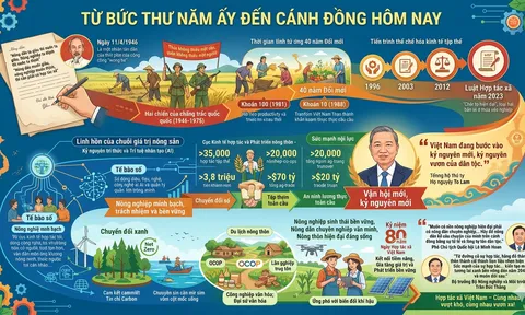 Từ bức thư năm ấy đến cánh đồng hôm nay!