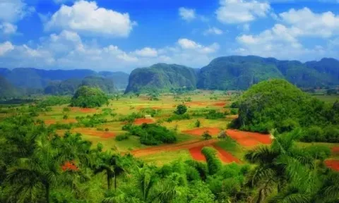 Sự đồng điệu văn hóa Việt Nam - Cuba: Từ cội nguồn sinh tồn đến khát vọng vươn mình