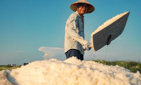 Đặc thù sinh thái, không gian văn hóa và tầm nhìn phát triển bền vững diêm nghiệp miền Bắc (Bài 03)
