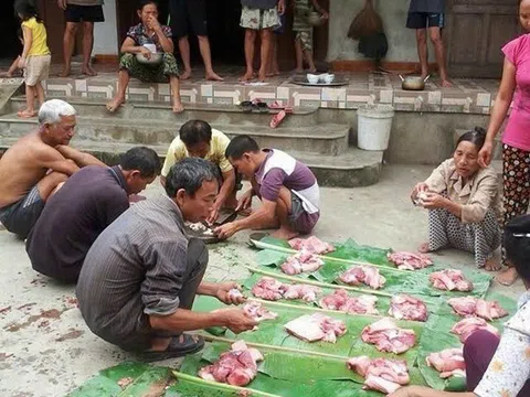 Đụng lợn ngày tết, vẻ đẹp đậm đà bản sắc văn hoá của người Việt tại những vùng quê