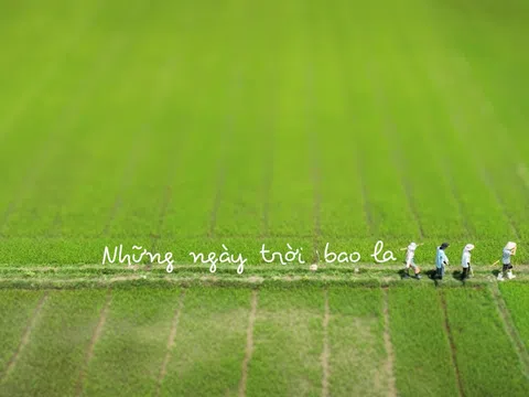 Từ chương trình truyền hình thực tế đến quảng bá du lịch nông nghiệp, nông thôn: Một hướng đi đầy triển vọng