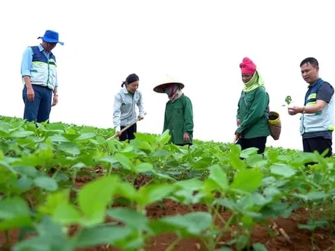 50 năm tái sinh từ đất và khát vọng nông nghiệp sinh thái