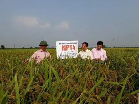 Hội Khoa học Phát triển Nông thôn Việt Nam: Hành trình gần hai thập kỷ vun trồng nền nông nghiệp sinh thái và nông thôn đáng sống