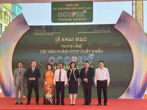 Xây dựng thương hiệu nông sản Việt: Nhìn từ những ngôi sao OCOP địa phương
