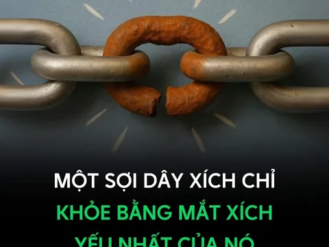 Sức khỏe của một dây xích được đo bằng mắt xích yếu nhất: Bài học cho mọi hệ thống