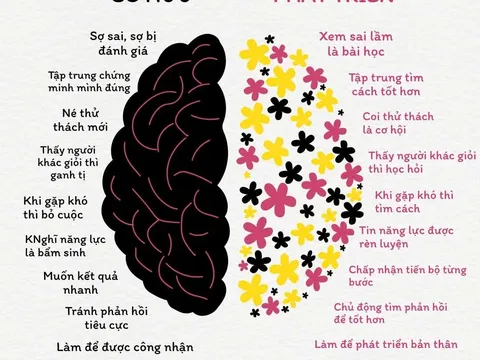 Tư duy kiến tạo cuộc đời: Chuyển đổi từ nạn nhân sang người lãnh đạo bản thân