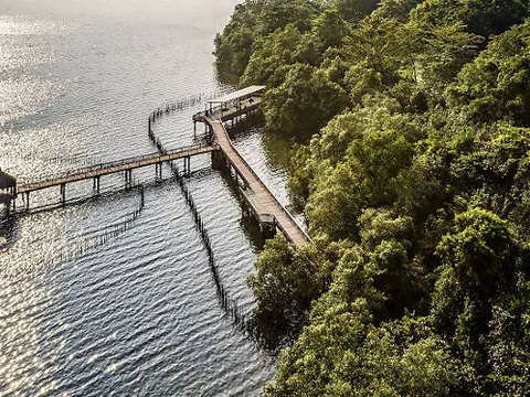 Du lịch kiểu “sống chậm”: Ngắm nhìn Singapore qua lăng kính tĩnh lặng