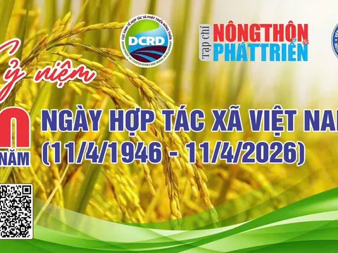 Hành trình 80 năm HTX Việt Nam (11/4/1946 - 11/4/2026: Tự cường, Đổi mới và Khát vọng kinh tế sinh thái toàn cầu - Bài 17
