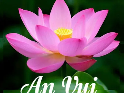 CẨM NANG DƯỠNG SINH AN VUI: BÍ QUYẾT TRƯỜNG THỌ TỪ GỐC RỄ THÂN - TÂM
