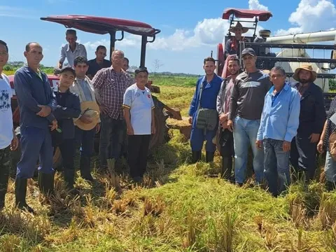 Từ cánh đồng lúa Việt Nam đến bình minh đổi mới của Cuba: Tầm nhìn chiến lược và khát vọng tự cường