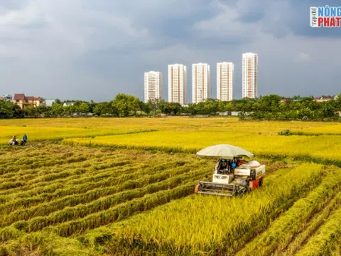 Cuộc thi và Triển lãm ảnh "Một thoáng Nông thôn mới Hà Nội" đã thành công rực rỡ!