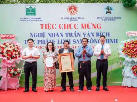 Cây Linh sam sông Hình đi vào huyền thoại