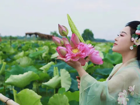 Dân ca Đồng bằng Bắc Bộ: Linh hồn ngàn năm của đất và người
