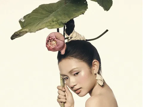 Ấn tượng bộ ảnh nghệ thuật mượn hoa sen kể chuyện con người