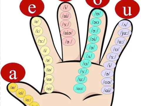 Quy tắc “bàn tay” trong phiên tâm quốc tế tiếng Anh