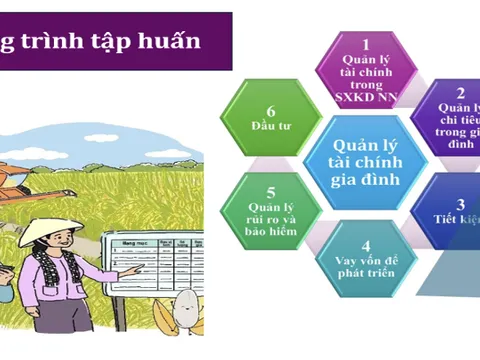 Tăng cường năng lực quản lý tài chính hộ gia đình: Giải pháp giúp nông dân Việt Nam chủ động và bền vững hơn trước rủi ro khí hậu