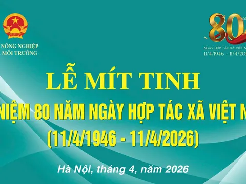 CHƯƠNG TRÌNH KỶ NIỆM 80 NĂM NGÀY HTX VIỆT NAM (11/4/1946 - 11/4/2026)