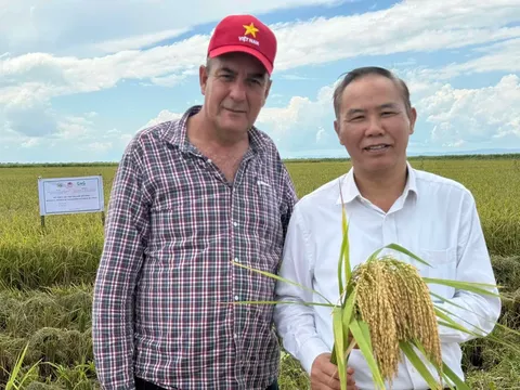 Hạt gạo nghĩa tình: Sứ mệnh an ninh lương thực và cam kết chiến lược của lãnh đạo Việt Nam - Cuba