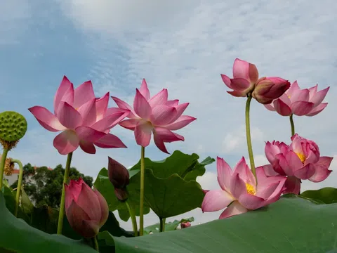 Mối quan hệ giữa phát triển kinh tế với phát triển văn hoá và nghệ thuật (Bài 1)