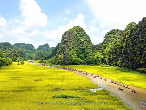 Cuộc sống là tấm vé không dành cho chiều khứ hồi