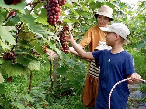 Hà Nội: Chiến lược phát triển nông thôn trong bối cảnh đô thị hóa nhanh