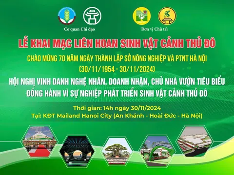 Một số tác phẩm cây cảnh hướng về Liên hoan Sinh Vật Cảnh Thủ đô 2024