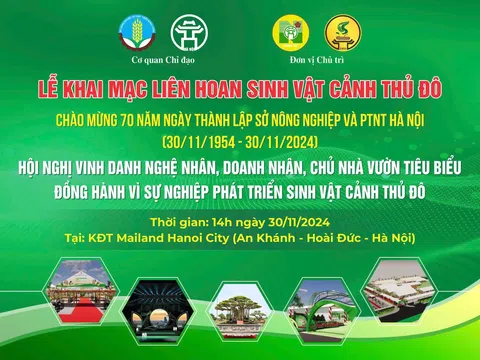 Công tác chuẩn bị Liên hoan Sinh Vật Cảnh Thủ đô 2024