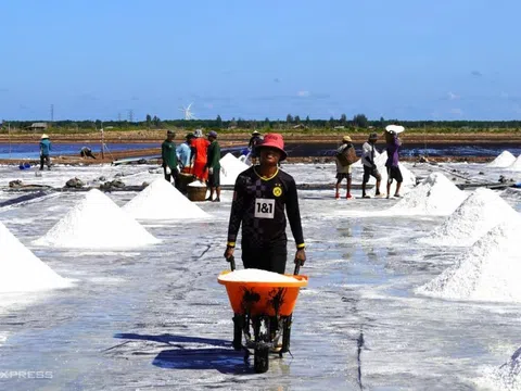 Sắp diễn ra Festival Nghề muối Việt Nam - Bạc Liêu năm 2025