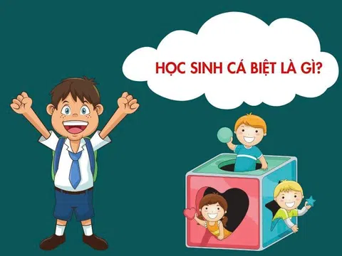 Vì sao nhiều học sinh cá biệt lại thành công hơn người học giỏi?