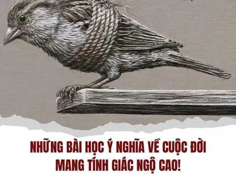Những bài học ý nghĩa về cuộc đời mang tính giác ngộ cao!
