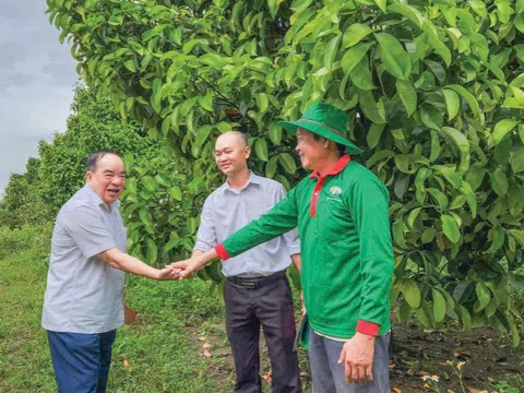 Thủy chung với nông nghiệp tuần hoàn