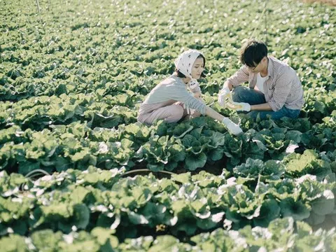 Người trẻ về quê và hành trình ngược dòng khởi nghiệp nông thôn