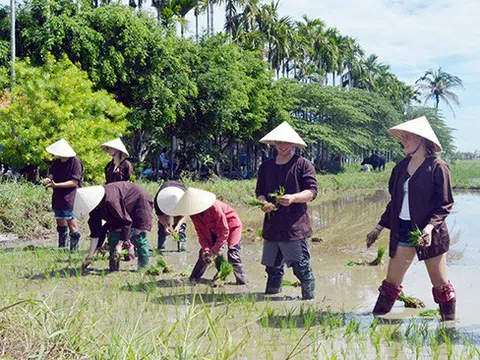 Du lịch nông nghiệp, nông thôn: Mô hình tiềm năng cho phát triển kinh tế nông thôn Việt Nam