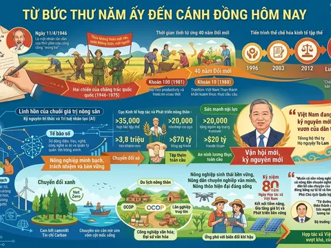 Từ bức thư năm ấy đến cánh đồng hôm nay!