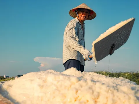 Đặc thù sinh thái, không gian văn hóa và tầm nhìn phát triển bền vững diêm nghiệp miền Bắc (Bài 03)