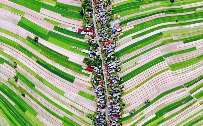 Xuất khẩu nông sản: Chiến lược chuyển đổi từ số lượng sang giá trị bền vững