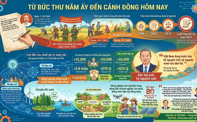 Từ bức thư năm ấy đến cánh đồng hôm nay!