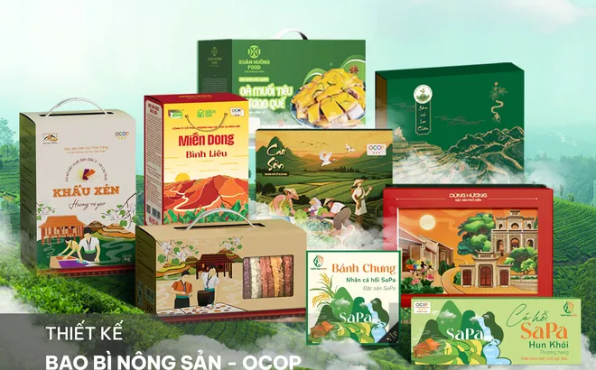 Hiện đại hóa bản sắc: Tấm hộ chiếu bao bì đưa đặc sản Việt ra thế giới